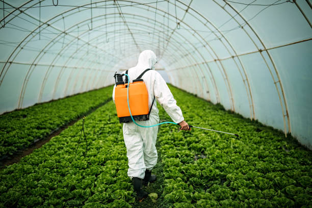 Best Affordable Pest Control Services  in Midway North, TX