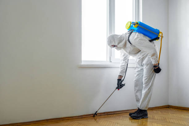 Reliable Midway North, TX Pest Control Solutions