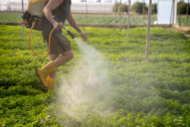 Best Best Pest Control Companies  in Midway North, TX