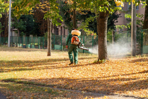 Best Residential Pest Control  in Midway North, TX