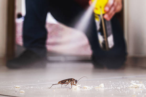 Best Local Pest Control Services  in Midway North, TX