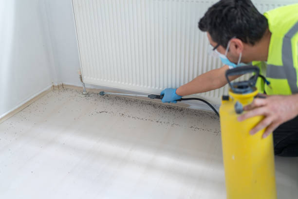 Best Mosquito Control Services  in Midway North, TX
